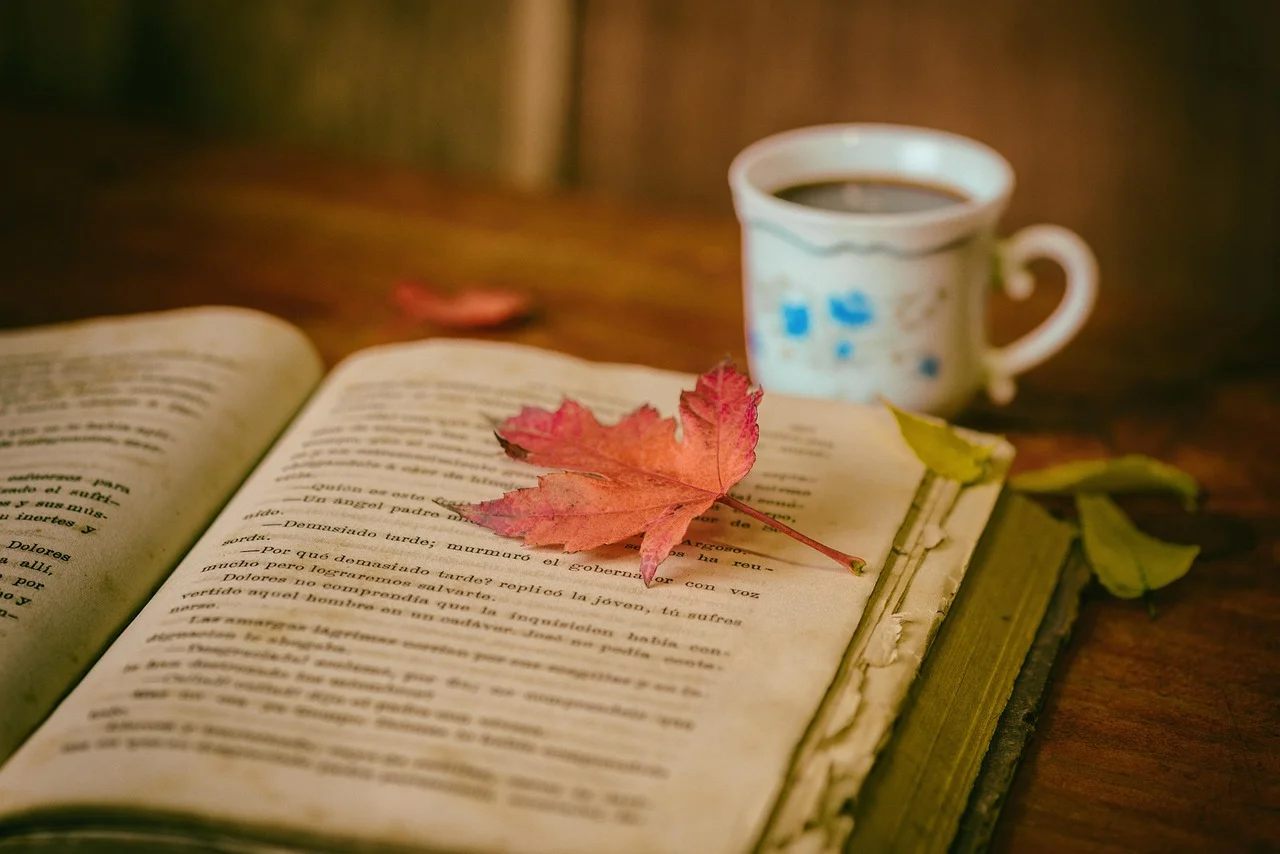 Literatura vs. ekran: felieton o tym, co wygrywa w kulturze natychmiastowości